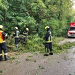 15 Sturmeinsätze in Himberg