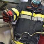 Tier in Notlage klein – Schlangenrettung