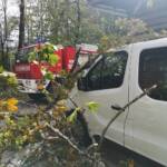 Sturmschäden in Mitterweissenbach und Bad Ischl