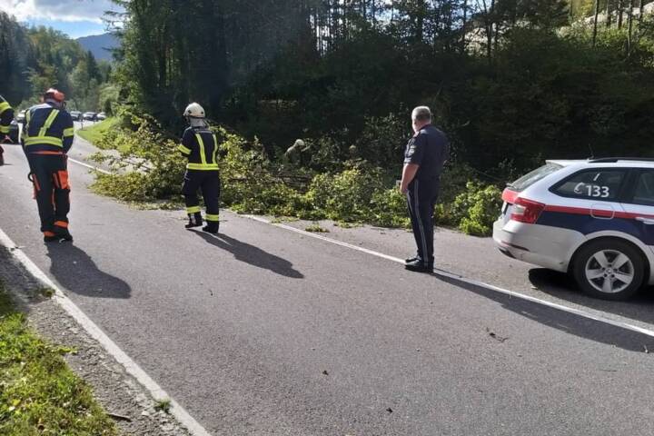 FF Bad Ischl: Sturmschäden in Mitterweissenbach u. Bad Ischl
