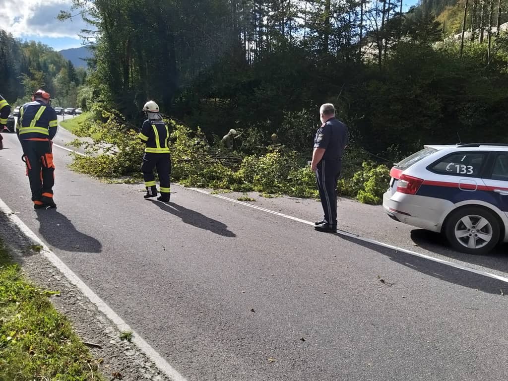 FF Bad Ischl: Sturmschäden in Mitterweissenbach u. Bad Ischl