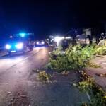 Sturmschäden in Mitterweissenbach und Bad Ischl