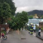 FF Bad Ischl: Sturmschaden – Baum über Straße