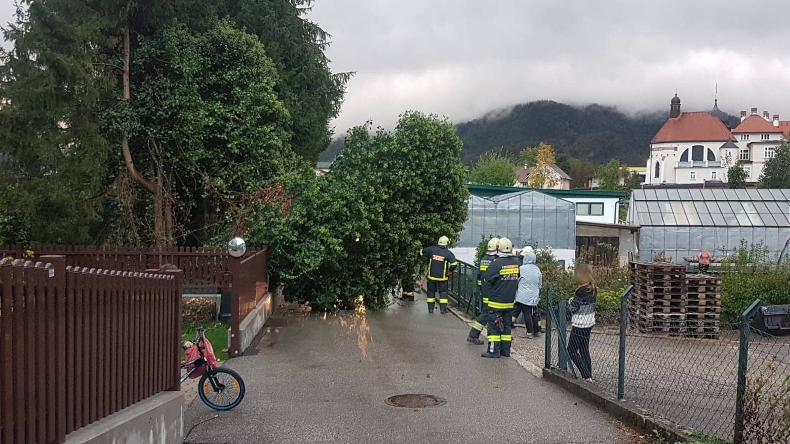 FF Bad Ischl: Sturmschaden – Baum über Straße