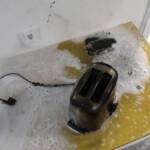 FF Leoben-Stadt: Brandmelderalarm in Studentenheim