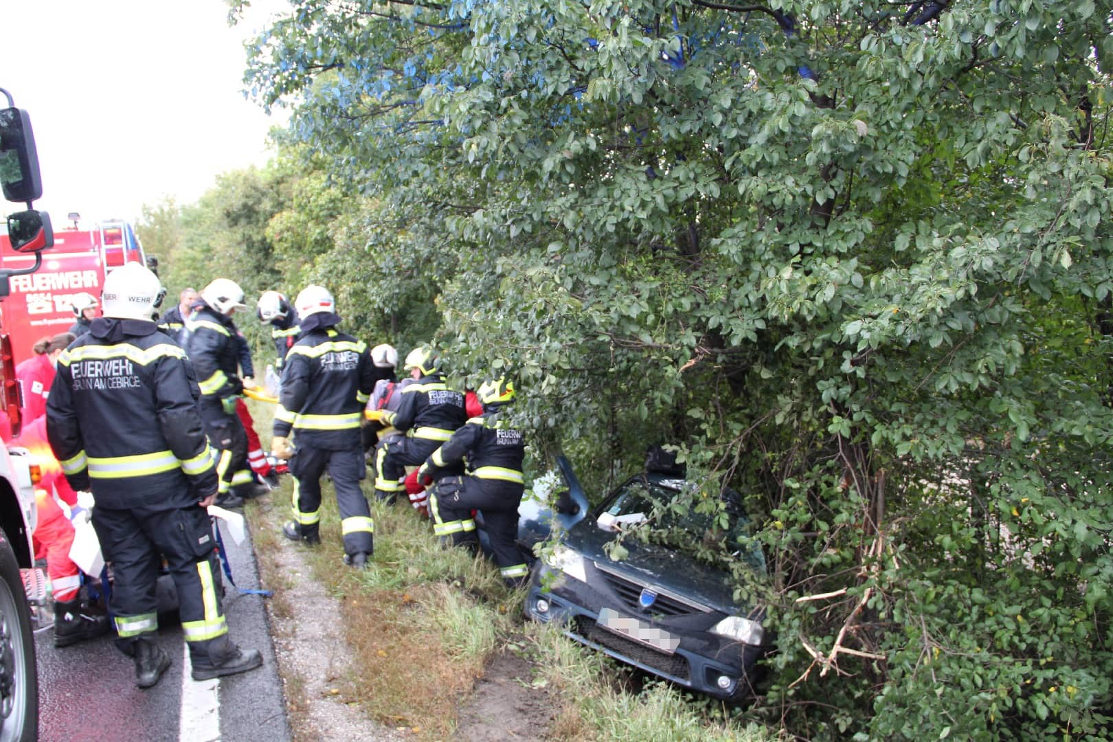 FF Brunn am Gebirge: Einsatzreicher Nachmittag
