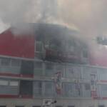 Knapp 100 Einsatzkräfte der Berufsfeuerwehr Wien bekämpfen den Brand in einer Lagerhalle