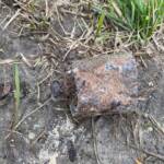 Granatenfund in Ebenfurth