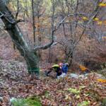 Personenrettung durch Feuerwehr aus Waldstück
