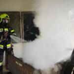 Hackschnitzelbrand in Wildbach