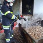 Hackschnitzelbrand in Wildbach