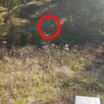 Fahrzeug am Zellerrain 60 Meter abgestürzt