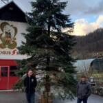 E-BI Franz Vockner spendet Perneck Weihnachtsbaum