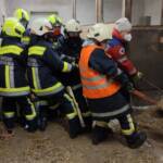 FF Breitenwaida: Bergung eines toten Pferdes