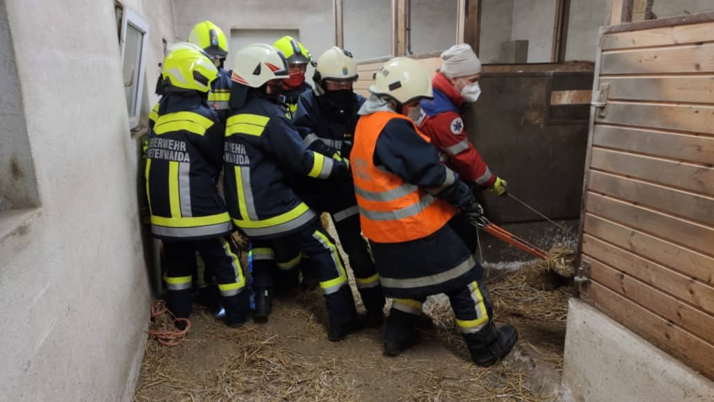 FF Breitenwaida: Bergung eines toten Pferdes