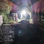 Bergung eines toten Pferdes