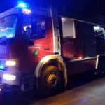 Bergung eines toten Pferdes