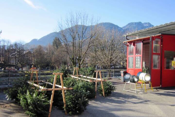 FF Bad Ischl: Christbaumverkauf bei der Hauptfeuerwache