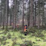 Suchaktion mit 23 Feuerwehren