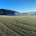 FF Tarsdorf: Suchaktion mit 23 Feuerwehren