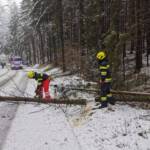 Einsätze aufgrund der Schneefälle