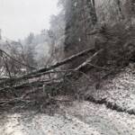 Einsätze aufgrund der Schneefälle