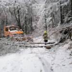 Einsätze aufgrund der Schneefälle