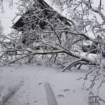 Schneefall fordert Feuerwehren
