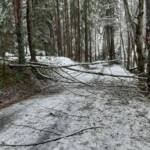 Schneefall fordert Feuerwehren