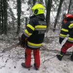 Schnee-Einsätze im Bezirk