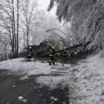 Baum über Hochneukirchenstraße