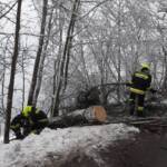 Baum über Hochneukirchenstraße