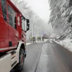 Baum über Hochneukirchenstraße