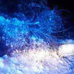 Mehrere Unwettereinsätze aufgrund der Schneelast