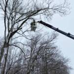 Sturmschaden in Ebenfurth