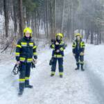 Tierrettung in Warmbad-Villach