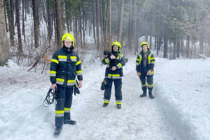 HFW Villach: Tierrettung in Warmbad-Villach