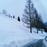 Feuerwehr unterstützte Absicherung von Schneebrett