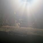 Leobener Feuerwehren gefordert