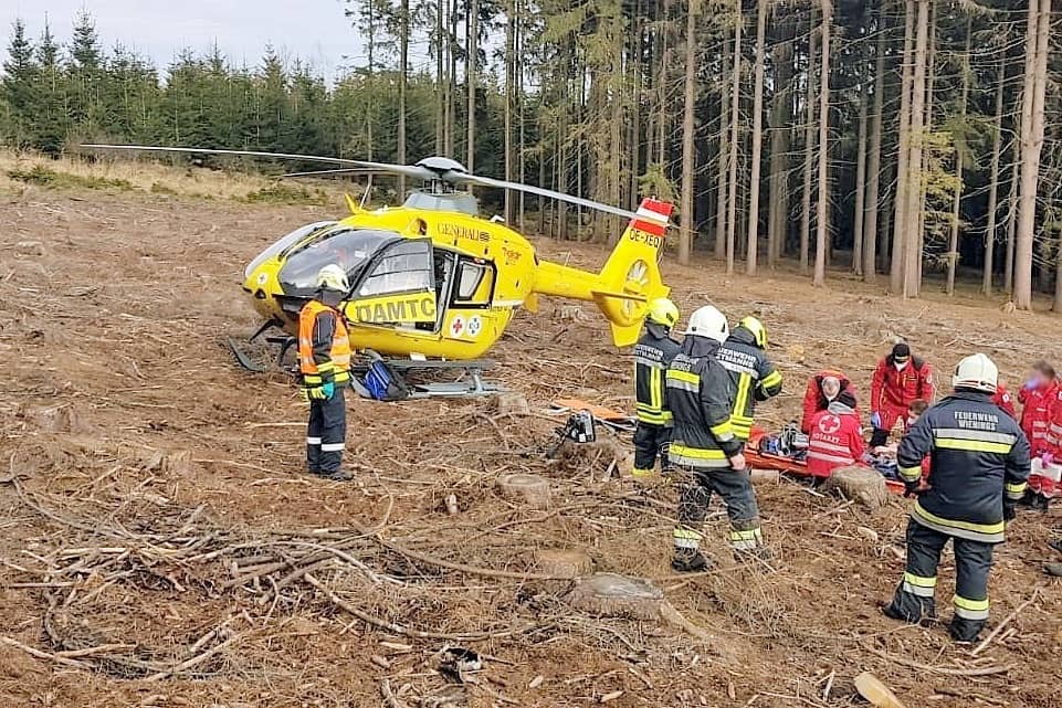 BFK Waidhofen/Thaya: Forstunfall am Predigtstuhl