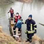 Bergung eines toten Schwans