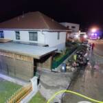 Brand eines Gewächshauses