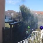 Stadtfeuerwehr Güssing: Thujenbrand in der Grabenstraße