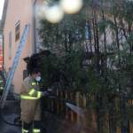 Thujenbrand in der Grabenstraße
