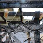 Thujenbrand in der Grabenstraße