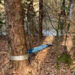 Traktorbergung in Steinberg