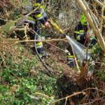 Wiesenbrand im Ortsgebiet