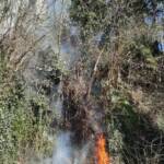Wiesenbrand im Ortsgebiet