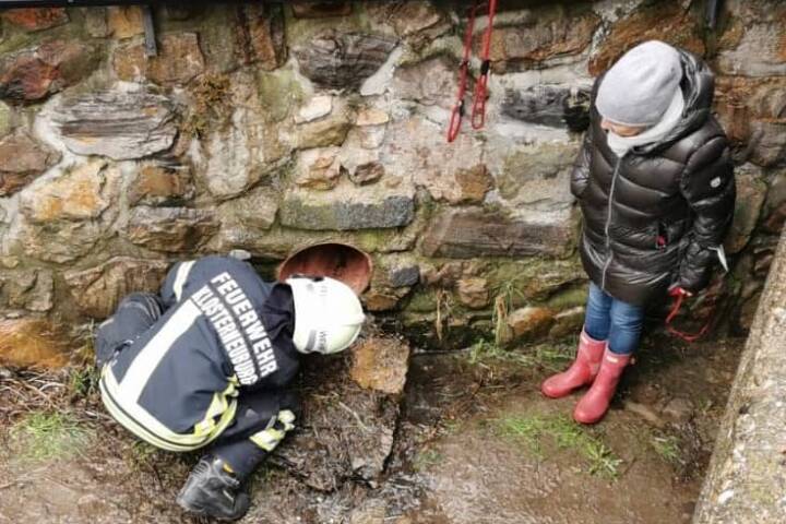 FF Klosterneuburg: Hund aus Kanalabflussrohr gerettet