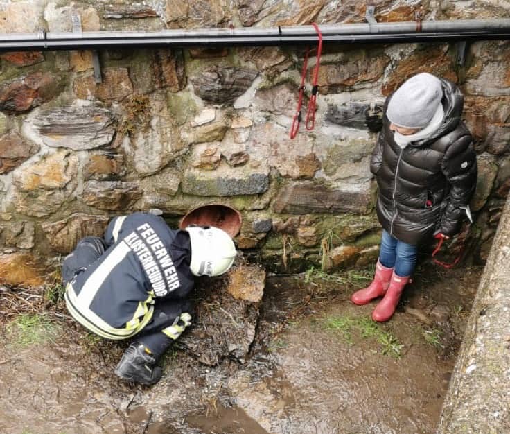 FF Klosterneuburg: Hund aus Kanalabflussrohr gerettet